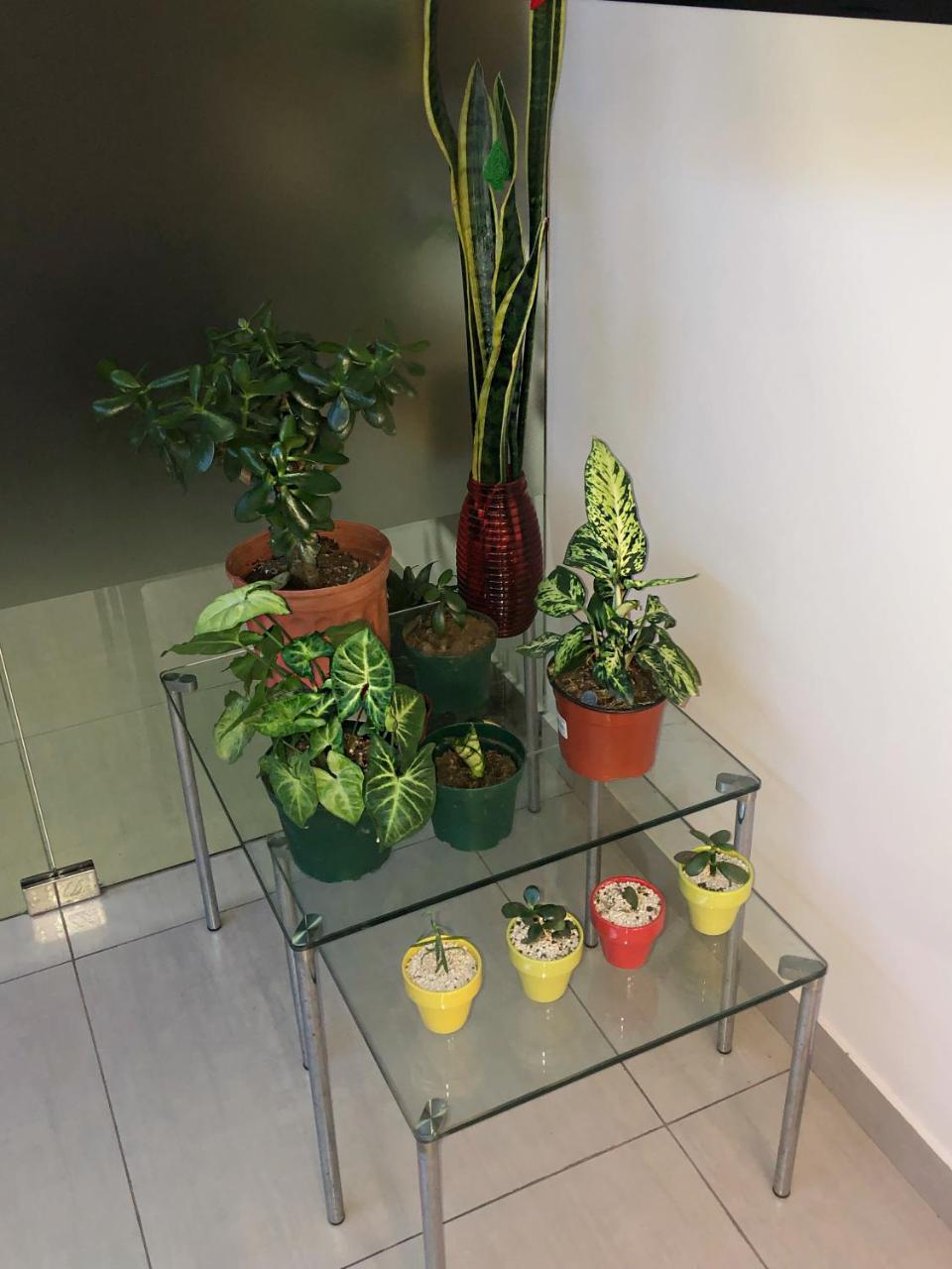 Costa Rica San Jose Full And Comfortable Apartament Pinares Curridabat Εξωτερικό φωτογραφία