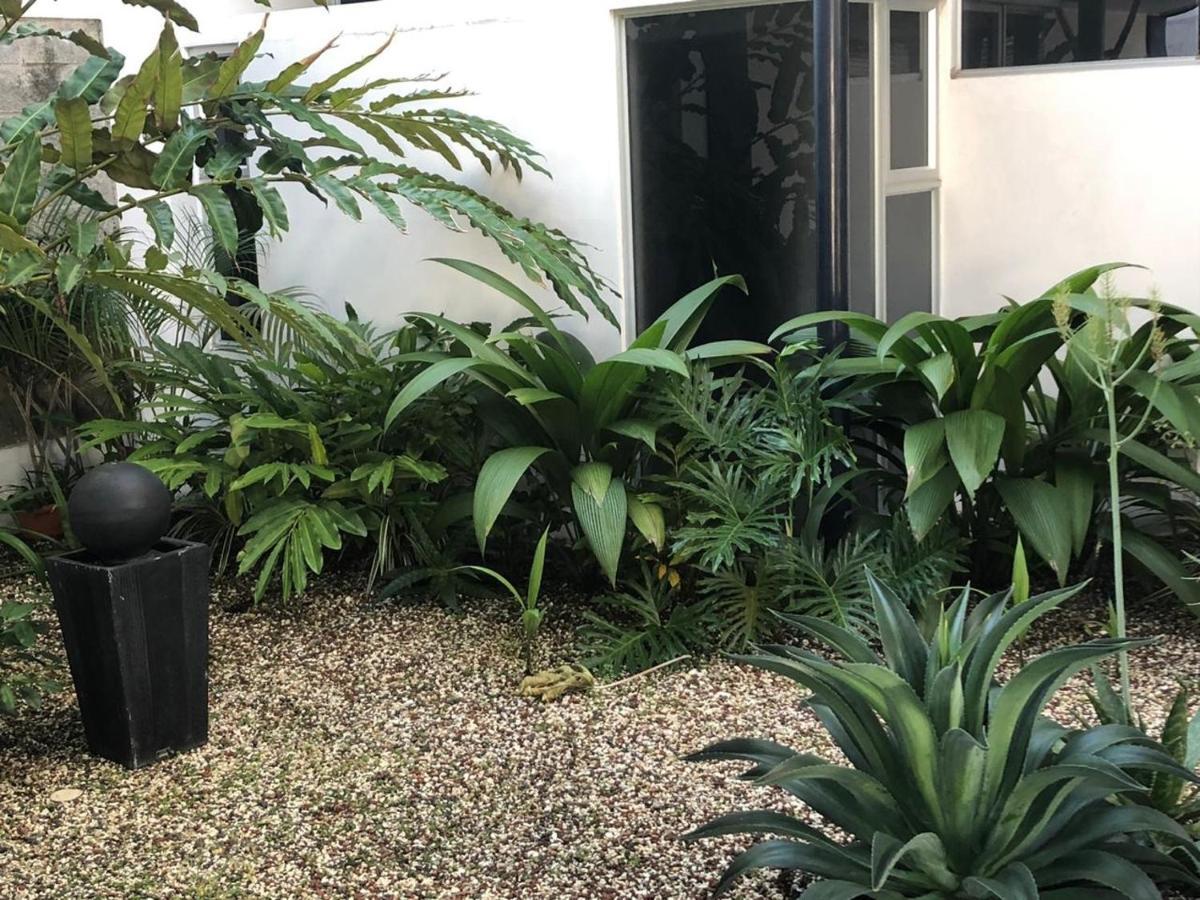 Costa Rica San Jose Full And Comfortable Apartament Pinares Curridabat Εξωτερικό φωτογραφία