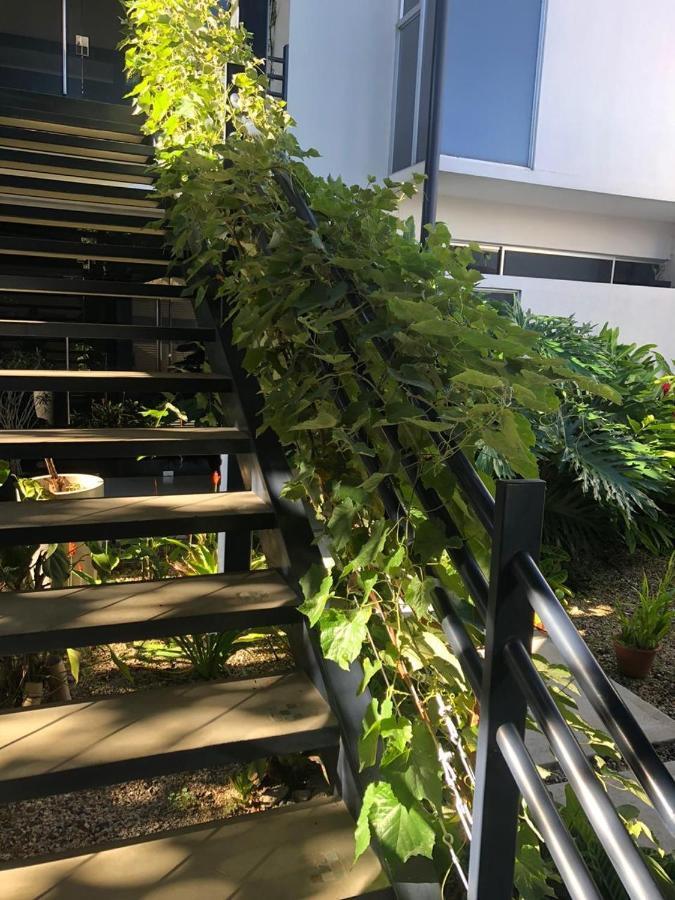 Costa Rica San Jose Full And Comfortable Apartament Pinares Curridabat Εξωτερικό φωτογραφία